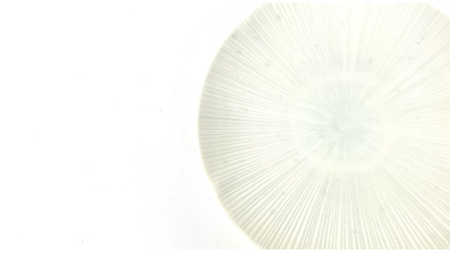 Piatto in Ceramica Mino – Eleganza Giapponese per la Tavola