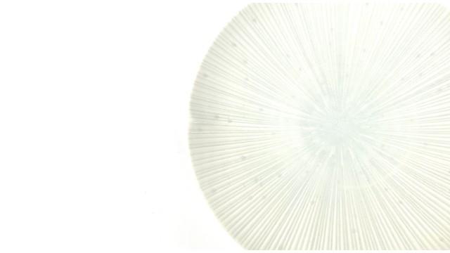 Piatto in Ceramica Mino – Eleganza Giapponese per la Tavola