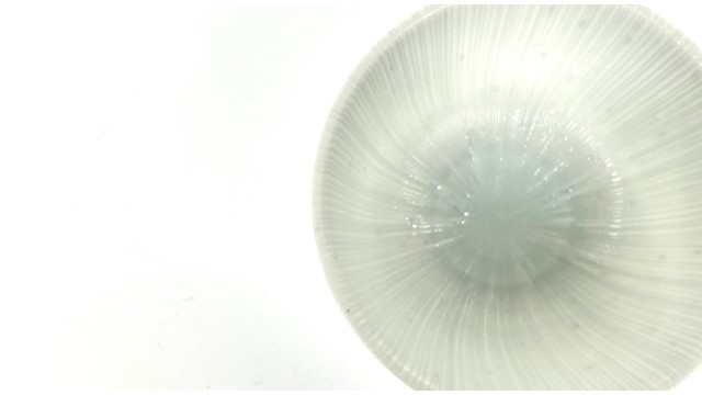 Piatto in Ceramica Mino – Eleganza Giapponese per la Tavola