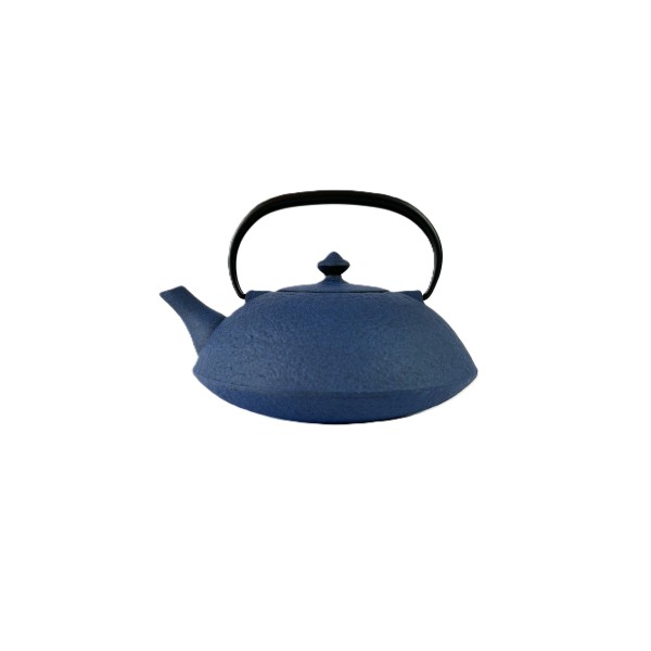 TEIERA MUJI BLUE