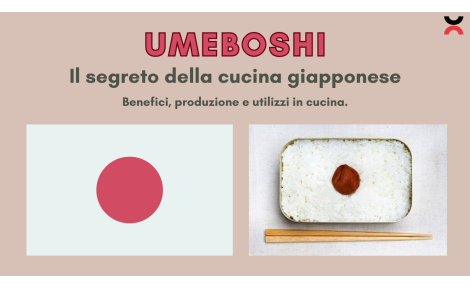 UMEBOSHI: Il segreto della cucina giapponese