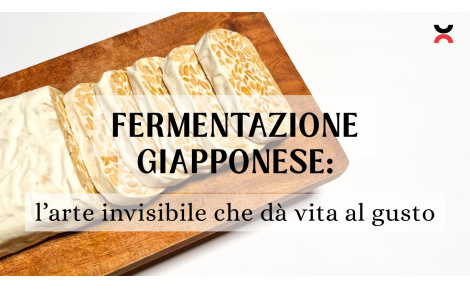 Fermentazione giapponese: l’arte invisibile che dà vita al gusto
