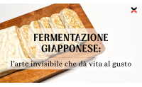 Fermentazione giapponese: l’arte invisibile che dà vita al gusto